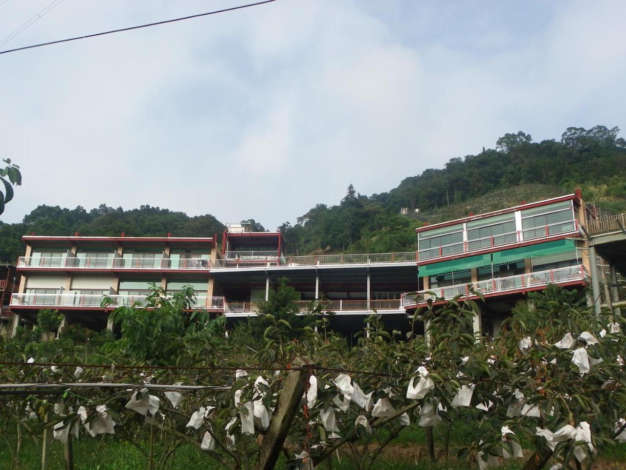 King Villa Heping  Exterior foto